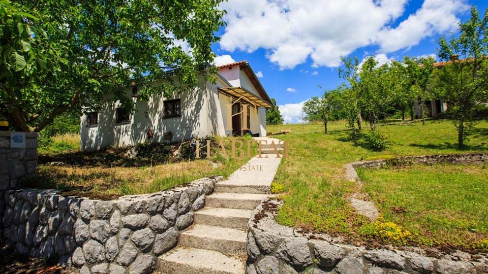 House, 390 m2, For Sale, Ružići