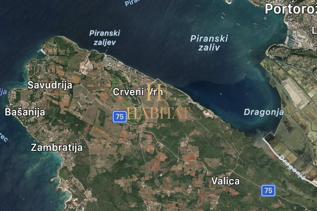 Istrien, MASURIJA, Baugrund1035m2, 300000eur