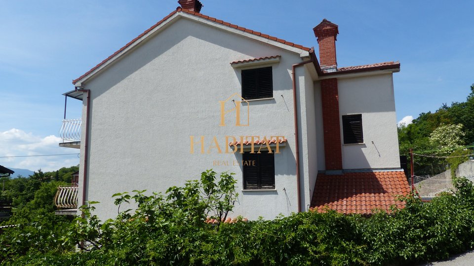 House, 440 m2, For Sale, Viškovo - Saršoni