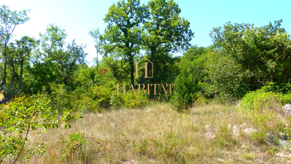 Land, 3500 m2, For Sale, Dobrinj - Sužan