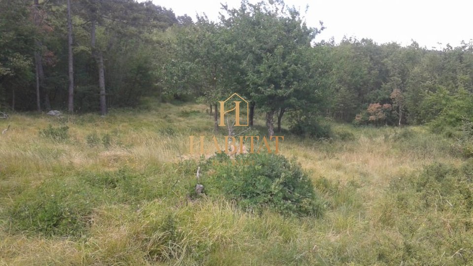 Land, 1900 m2, For Sale, Škalnica