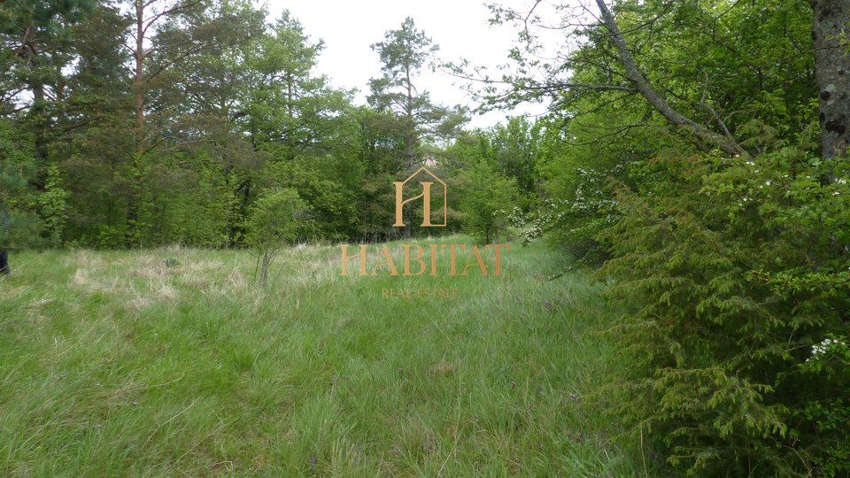 Land, 1500 m2, For Sale, Rupa